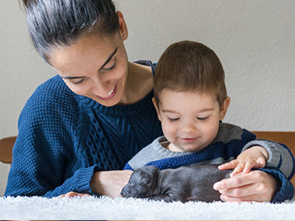 Women and child looking at puppy