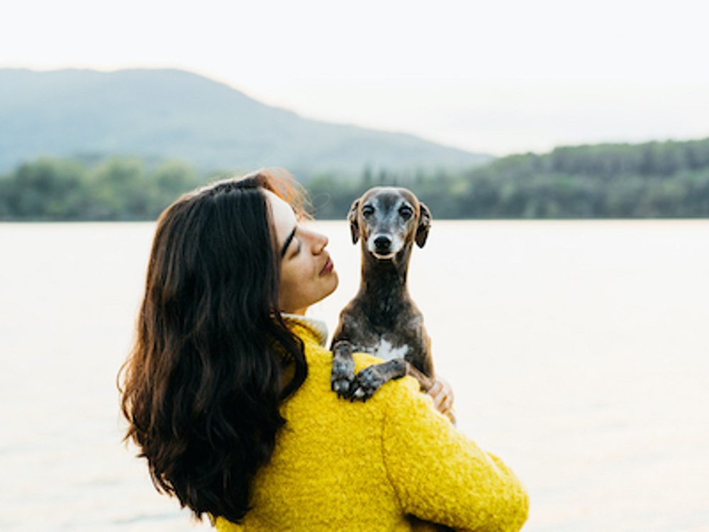 Italian Greyhound being held by a lake