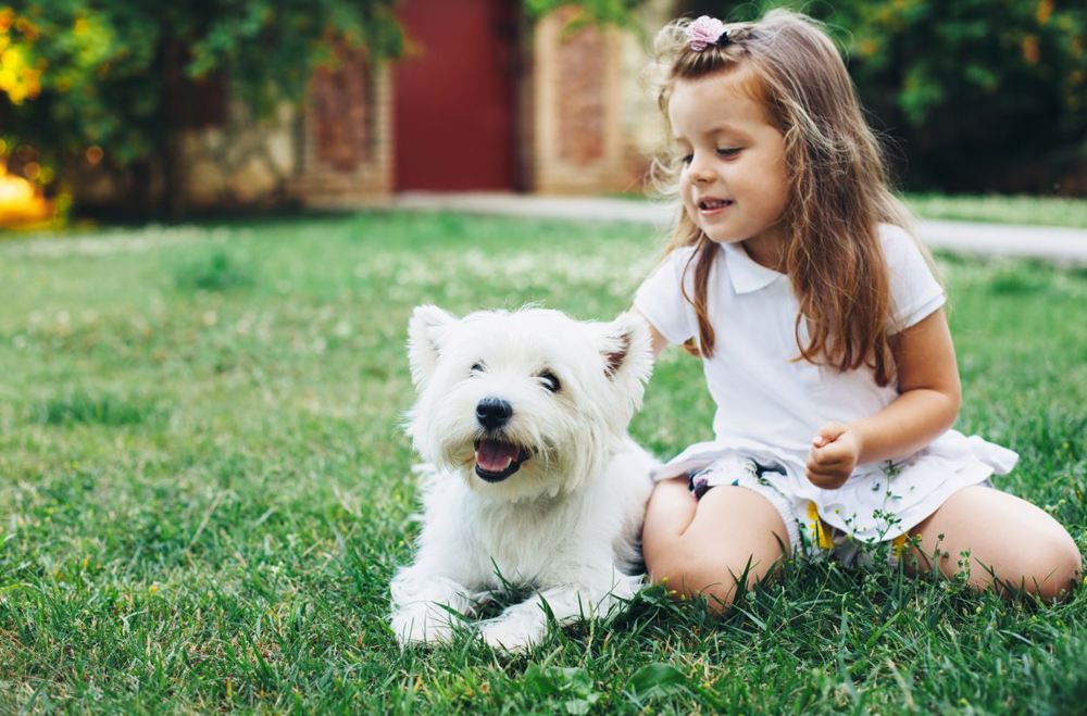 Dog and child sitting next to each other on the grass