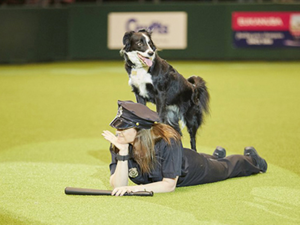 Lady laying on the floor while dog jumps on back