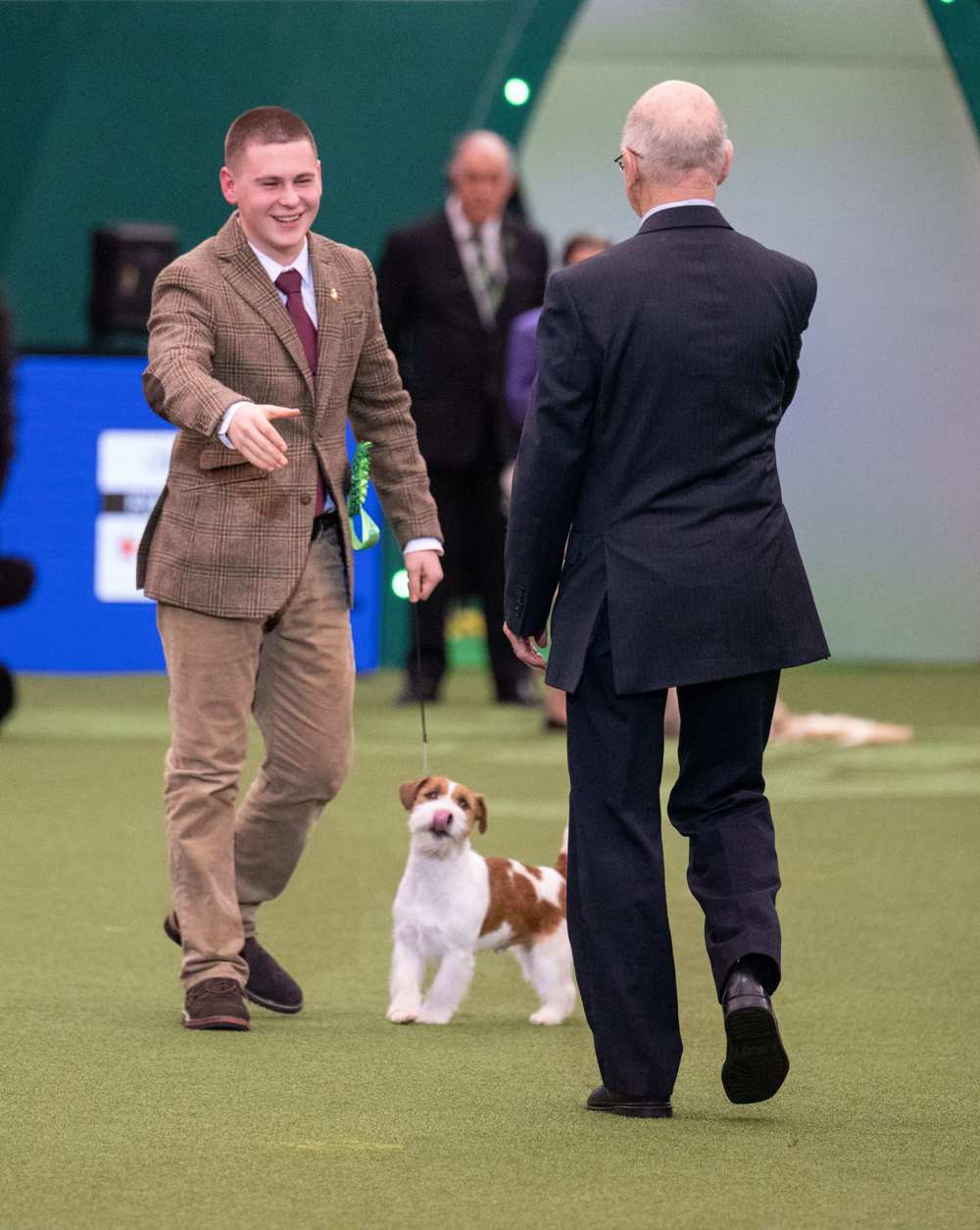 IJH winner 2023 v4. Yulia Titovets | The Kennel Club website