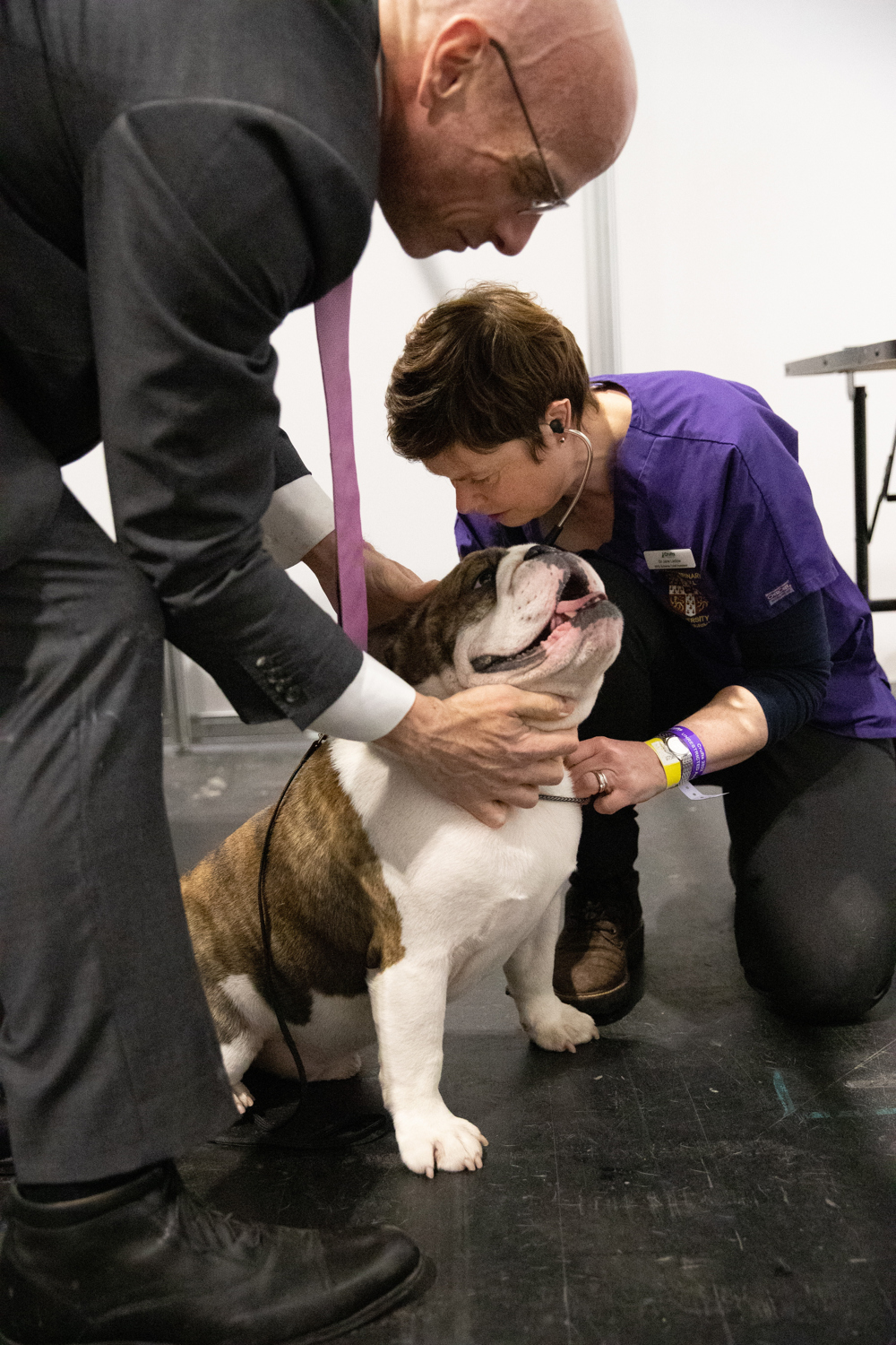 RFG assessment at Crufts with the scheme's cheif assessor Dr Jane Ladlow. Credit Emily Arundale The Kennel Club