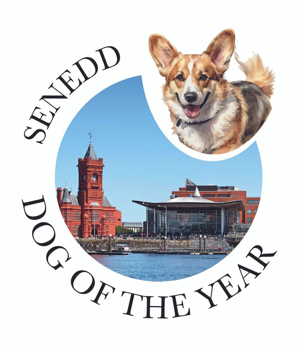 Senedd Dog of the Year. 