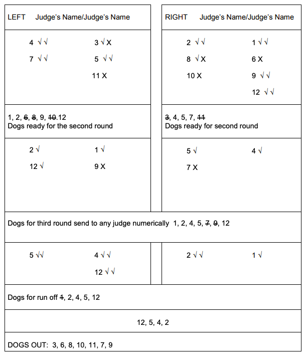 example of judging book for Retrievers