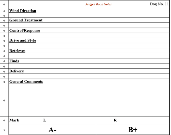 example of judging book for Spaniel